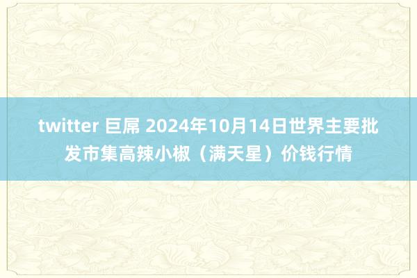 twitter 巨屌 2024年10月14日世界主要批发市集高辣小椒（满天星）价钱行情