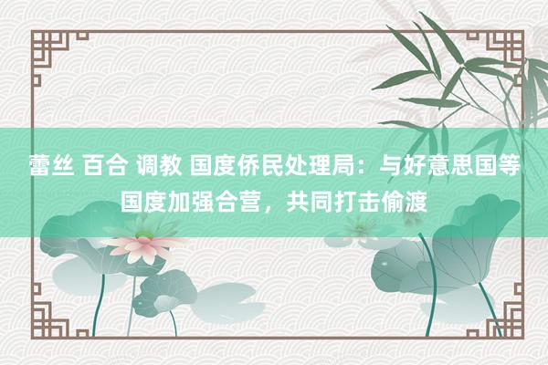 蕾丝 百合 调教 国度侨民处理局：与好意思国等国度加强合营，共同打击偷渡