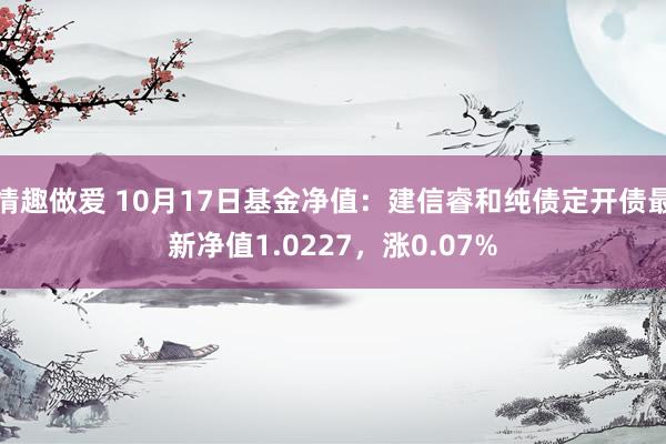 情趣做爱 10月17日基金净值：建信睿和纯债定开债最新净值1.0227，涨0.07%