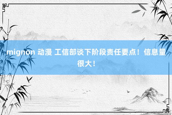 mignon 动漫 工信部谈下阶段责任要点！信息量很大！