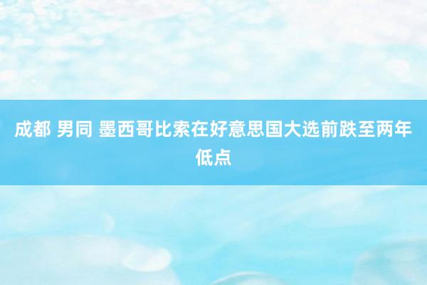 成都 男同 墨西哥比索在好意思国大选前跌至两年低点