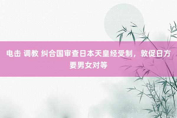 电击 调教 纠合国审查日本天皇经受制，敦促日方要男女对等