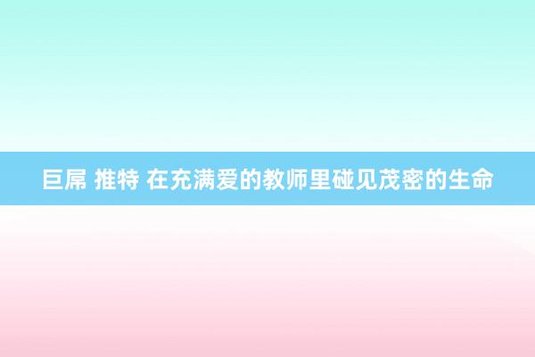 巨屌 推特 在充满爱的教师里碰见茂密的生命