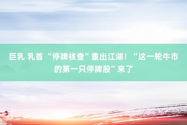 巨乳 乳首 “停牌核查”重出江湖！“这一轮牛市的第一只停牌股”来了