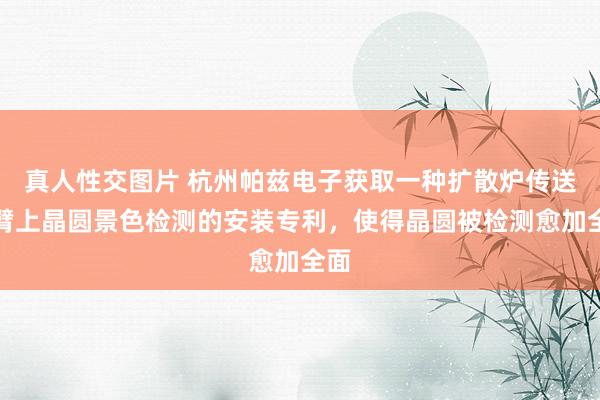 真人性交图片 杭州帕兹电子获取一种扩散炉传送手臂上晶圆景色检测的安装专利，使得晶圆被检测愈加全面