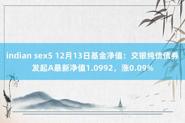 indian sex5 12月13日基金净值：交银纯债债券发起A最新净值1.0992，涨0.09%
