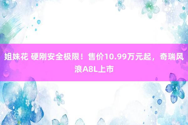 姐妹花 硬刚安全极限！售价10.99万元起，奇瑞风浪A8L上市