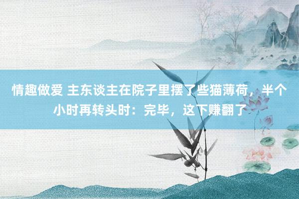 情趣做爱 主东谈主在院子里摆了些猫薄荷，半个小时再转头时：完毕，这下赚翻了