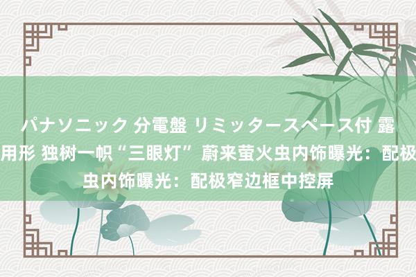パナソニック 分電盤 リミッタースペース付 露出・半埋込両用形 独树一帜“三眼灯” 蔚来萤火虫内饰曝光：配极窄边框中控屏