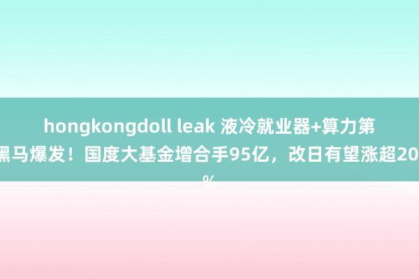 hongkongdoll leak 液冷就业器+算力第一黑马爆发！国度大基金增合手95亿，改日有望涨超200%