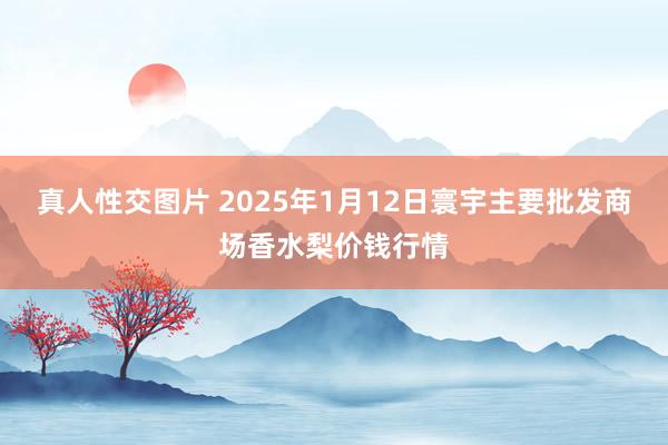 真人性交图片 2025年1月12日寰宇主要批发商场香水梨价钱行情