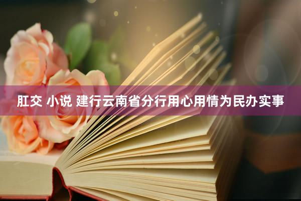 肛交 小说 建行云南省分行用心用情为民办实事