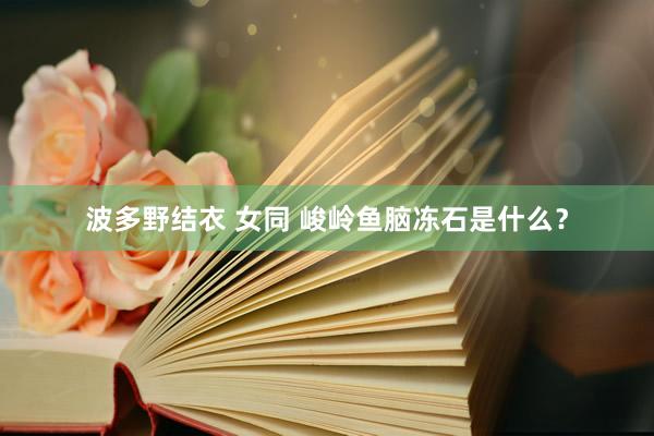 波多野结衣 女同 峻岭鱼脑冻石是什么？