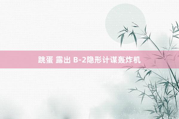 跳蛋 露出 B-2隐形计谋轰炸机