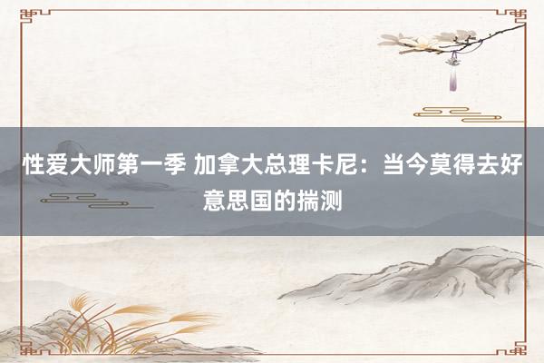 性爱大师第一季 加拿大总理卡尼：当今莫得去好意思国的揣测