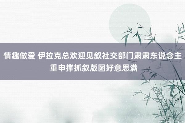 情趣做爱 伊拉克总欢迎见叙社交部门肃肃东说念主 重申撑抓叙版图好意思满