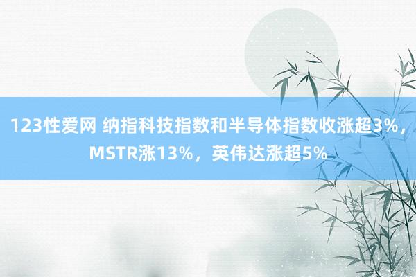 123性爱网 纳指科技指数和半导体指数收涨超3%，MSTR涨13%，英伟达涨超5%