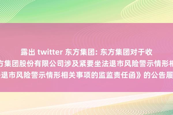 露出 twitter 东方集团: 东方集团对于收到上海证券交游所《对于东方集团股份有限公司涉及紧要坐法退市风险警示情形相关事项的监监责任函》的公告履行纲目