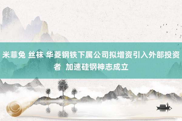 米菲兔 丝袜 华菱钢铁下属公司拟增资引入外部投资者  加速硅钢神志成立