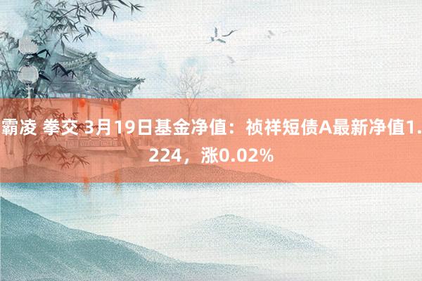 霸凌 拳交 3月19日基金净值：祯祥短债A最新净值1.224，涨0.02%