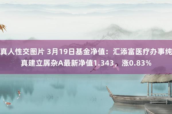 真人性交图片 3月19日基金净值：汇添富医疗办事纯真建立羼杂A最新净值1.343，涨0.83%