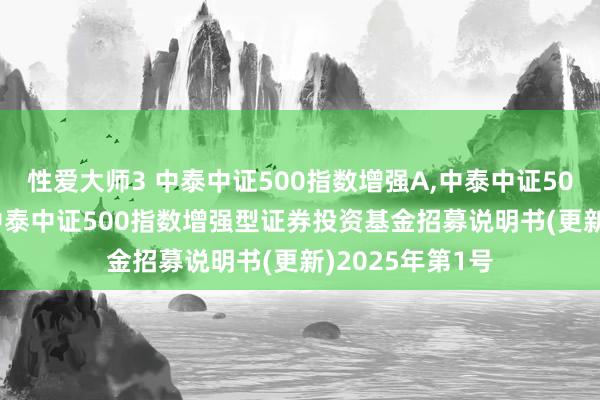 性爱大师3 中泰中证500指数增强A，中泰中证500指数增强C: 中泰中证500指数增强型证券投资基金招募说明书(更新)2025年第1号