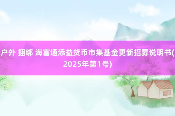 户外 捆绑 海富通添益货币市集基金更新招募说明书(2025年第1号)