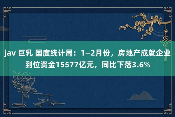 jav 巨乳 国度统计局：1—2月份，房地产成就企业到位资金15577亿元，同比下落3.6%