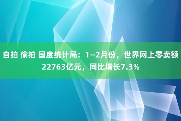 自拍 偷拍 国度统计局：1—2月份，世界网上零卖额22763亿元，同比增长7.3%