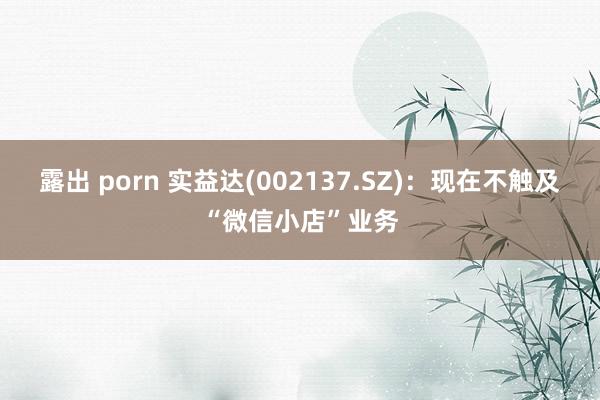 露出 porn 实益达(002137.SZ)：现在不触及“微信小店”业务