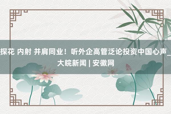 探花 内射 并肩同业！听外企高管泛论投资中国心声_大皖新闻 | 安徽网