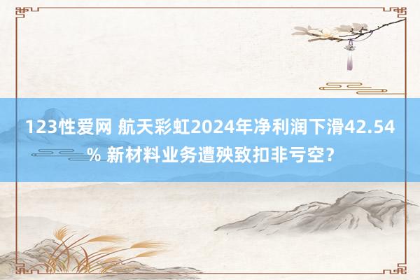 123性爱网 航天彩虹2024年净利润下滑42.54% 新材料业务遭殃致扣非亏空？