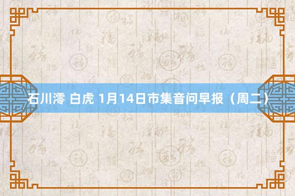 石川澪 白虎 1月14日市集音问早报（周二）