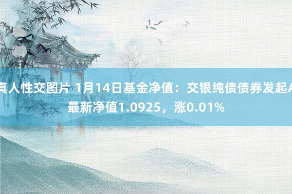 真人性交图片 1月14日基金净值：交银纯债债券发起A最新净值1.0925，涨0.01%