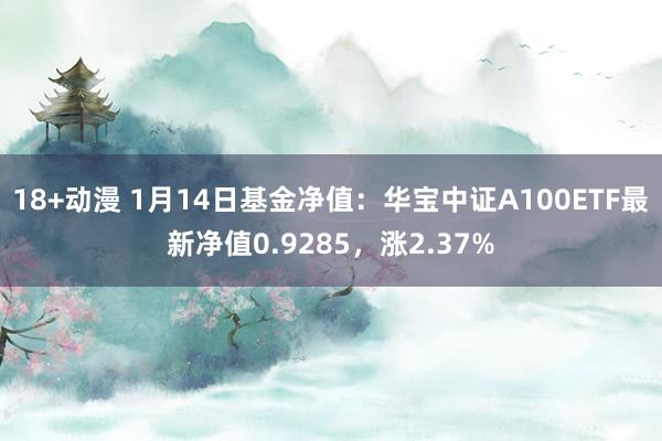 18+动漫 1月14日基金净值：华宝中证A100ETF最新净值0.9285，涨2.37%