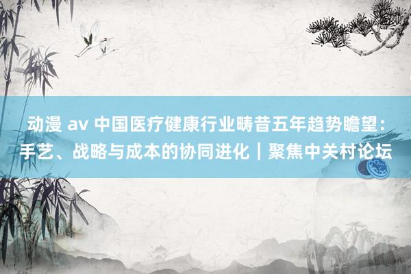 动漫 av 中国医疗健康行业畴昔五年趋势瞻望：手艺、战略与成本的协同进化｜聚焦中关村论坛