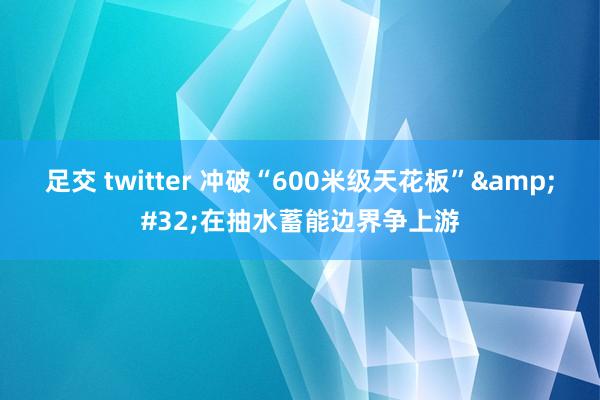 足交 twitter 冲破“600米级天花板”&#32;在抽水蓄能边界争上游