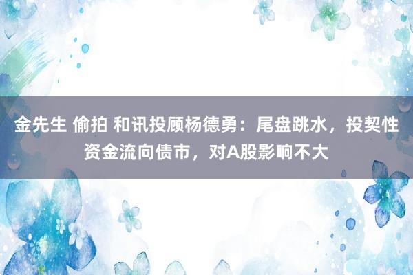金先生 偷拍 和讯投顾杨德勇：尾盘跳水，投契性资金流向债市，对A股影响不大