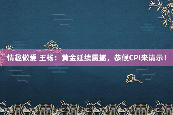 情趣做爱 王杨：黄金延续震撼，恭候CPI来请示！