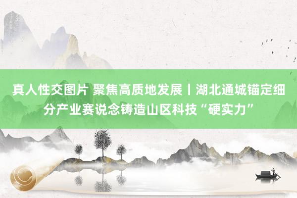 真人性交图片 聚焦高质地发展丨湖北通城锚定细分产业赛说念铸造山区科技“硬实力”