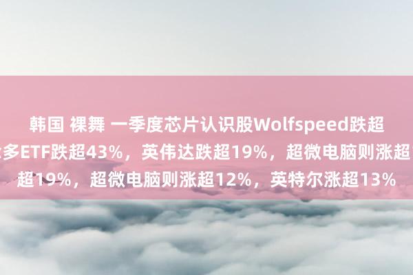 韩国 裸舞 一季度芯片认识股Wolfspeed跌超54%，英伟达两倍作念多ETF跌超43%，英伟达跌超19%，超微电脑则涨超12%，英特尔涨超13%