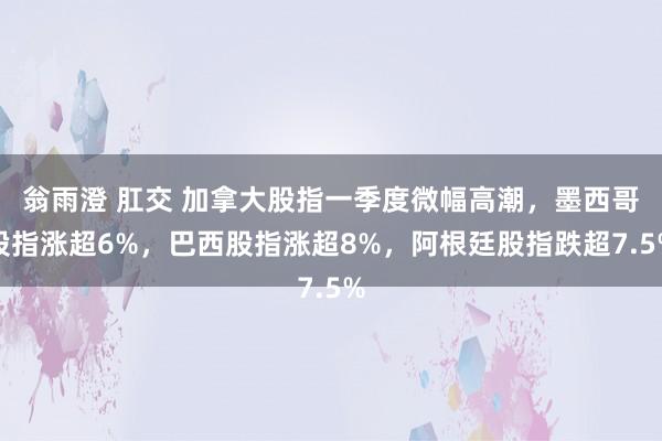 翁雨澄 肛交 加拿大股指一季度微幅高潮，墨西哥股指涨超6%，巴西股指涨超8%，阿根廷股指跌超7.5%