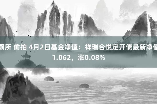 厕所 偷拍 4月2日基金净值：祥瑞合悦定开债最新净值1.062，涨0.08%