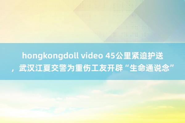 hongkongdoll video 45公里紧迫护送，武汉江夏交警为重伤工友开辟“生命通说念”