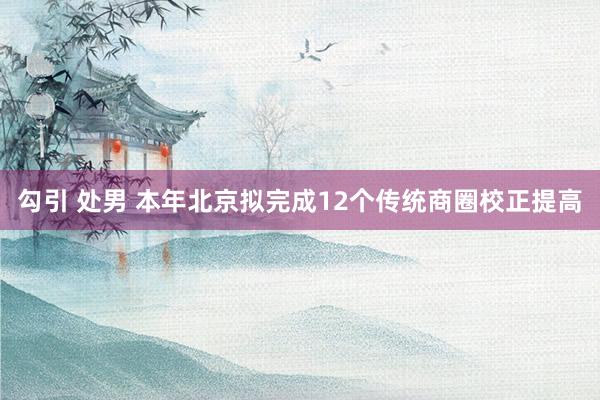 勾引 处男 本年北京拟完成12个传统商圈校正提高