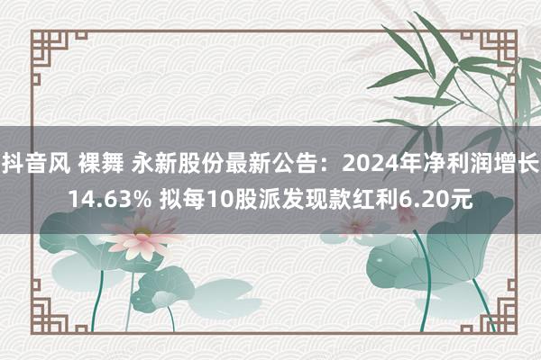 抖音风 裸舞 永新股份最新公告：2024年净利润增长14.63% 拟每10股派发现款红利6.20元