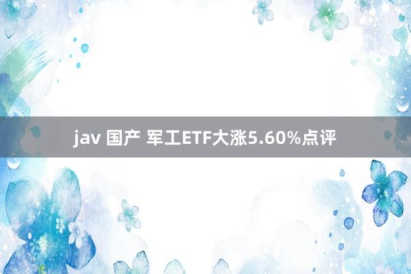 jav 国产 军工ETF大涨5.60%点评
