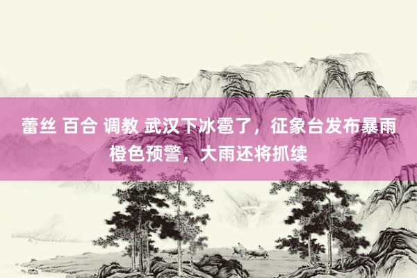 蕾丝 百合 调教 武汉下冰雹了，征象台发布暴雨橙色预警，大雨还将抓续