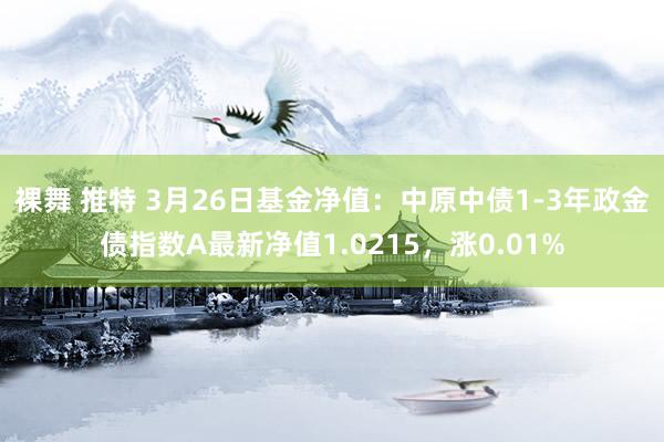 裸舞 推特 3月26日基金净值：中原中债1-3年政金债指数A最新净值1.0215，涨0.01%