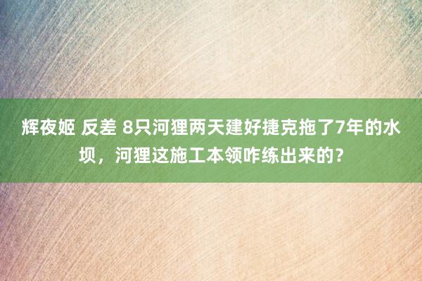 辉夜姬 反差 8只河狸两天建好捷克拖了7年的水坝，河狸这施工本领咋练出来的？